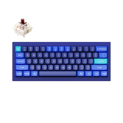 Keychron Q4 Wired Custom Mechanical Keyboard, QMK/VIA Programmable Macro, Full Aluminum, Hot-Swappable Gateron G Pro Brown Switch, 60% Layout Double Gasket Compatible with Mac and Windows - Blue - color: Blue (Gateron G Pro Brown Switch)