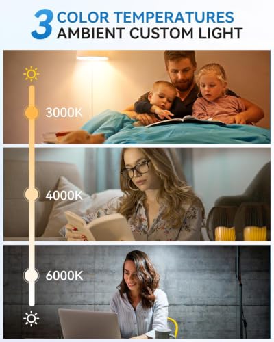 WirelessGlow Rechargeable Light Bulbs with Remote, 3 Color Temperatures and Dimmable Battery Operated Light Bulbs, Touch Control + USB Rechargeable Battery Light Bulb, A19, 1 Pack - color: 3000k-4000k-6500k, size: 1 Count (Pack of 1)