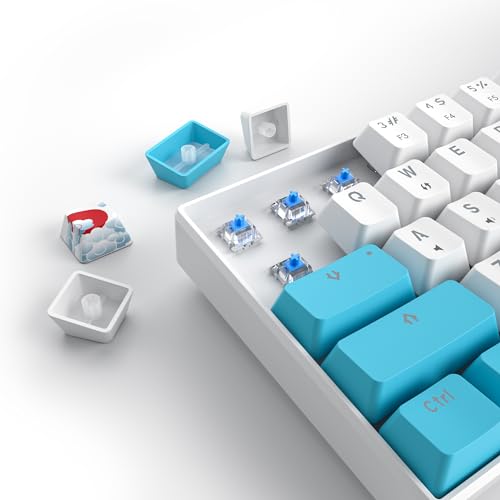 65% Mechanical Keyboard 68-Key Wired Gaming Keyboard with Blue Switch RGB Lighting Effect PBT Keycaps Ultra-Compact Mini Keyboard Suitable for Win/Mac(68 Sea) - color: 68 Sea/Blue Switch