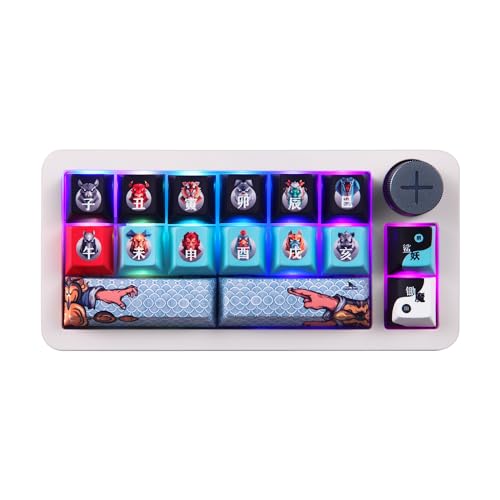 Darmoshark SK16 Macro Mechanical Numeric Keyboards 2.4G/USB-C/Bluetooth 16 Keys Mini Numpad Portable Keypad RGB Backlight Gaming Keyboards Extended Layout for Cashier,Fully Programmable Keys - size: SK16
