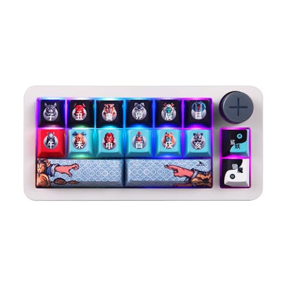 Darmoshark SK16 Macro Mechanical Numeric Keyboards 2.4G/USB-C/Bluetooth 16 Keys Mini Numpad Portable Keypad RGB Backlight Gaming Keyboards Extended Layout for Cashier,Fully Programmable Keys - size: SK16