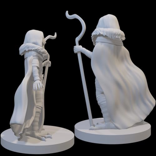 Druid Miniatures for DND Pathfinder RPG Unpainted Resin 28mm-32mm 3D Printed (Owlfolk Druid)