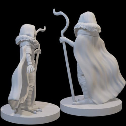 Druid Miniatures for DND Pathfinder RPG Unpainted Resin 28mm-32mm 3D Printed (Owlfolk Druid)