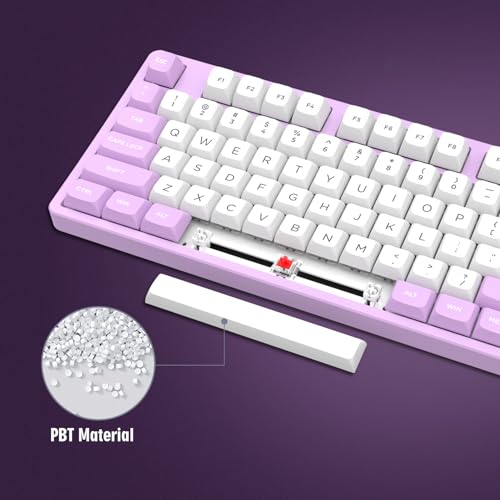 dagaladoo Double Shot PBT keycaps Set, ISA Profile Keyboard Keycaps | Retro key caps full size,Custom keycaps for 60% 65% 75% 100% Cherry-MX switch Mechanical Keyboard(White/Purple,169-keys) - color: White/Purple