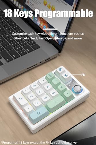 Gasket Creamy Mechanical Numpad Programmable Keypad RGB LED Backlit | Wireless 2.4G/Bluetooth 5.0/Wired USB-C Hot Swappable Macro Number Pad Rechargeable Numeric Keyboard Metal Knob for Win/Mac - color: Mint