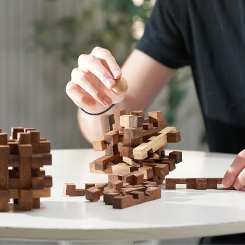 Double Lock-a-Ball Brain Teaser: Mechanical Interlocking 3D Wooden Puzzle for Adults from SiamMandalay with SM Gift Box(Pictured)