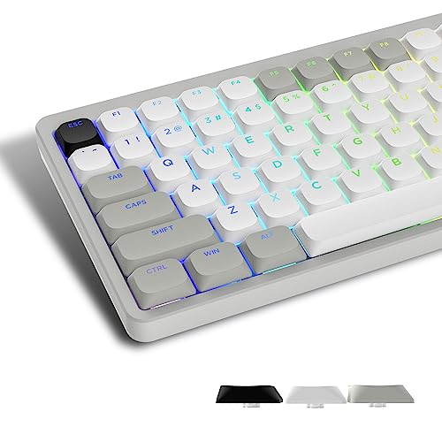 Womier Low Profile Keycaps - Shine Through Keycaps 60 65 75 100 Percent | Keyboard Key caps PBT Full Size for Cherry Gateron MX Switches Mechanical Keyboard, Grey/White - color: Grey