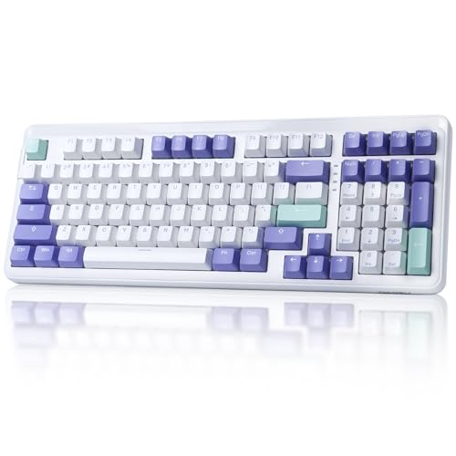 DAREU EK98pro Wireless Mechanical Keyboard, Gasket Hot Swappable Custom Structure, Creamy Pre-lubed Linear Switches, PBT Keycaps, BT5.0/2.4GHz/USB-C, RGB Backlit Gaming Keyboard for Win/Mac - color: Mystic Violet