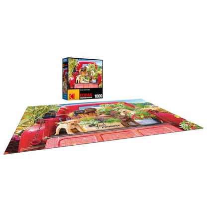RoseArt Kodak Premium Stowaways 1000 Piece Jigsaw Puzzle for Adults | 20" x 27" Finished Size, Fully Interlocking Pieces, Bonus Poster Included, Made in USA - style: Stowaways