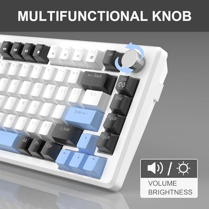 MageGee 75% Mechanical Gaming Keyboard, Compact Blue Backlit Wired Gaming Keyboards with Brown Switches, EVA Foam, Knob Control, STAR75 Portable NKRO PC Gaming Keyboard - White & Blue - color: White & Blue - Brown Switch