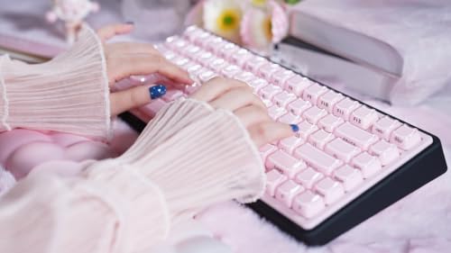 ZORNHER UR82 Wireless Mechanical Keyboard, 75% Pink & Black Creamy Keyboard with Glossy Jelly Cat-Ear Keycaps,Hot-Swappable RGB Gaming Keyboard for Windows/Mac, BT/2.4G/USB-C - color: Pink Jelly Cat-Black Case