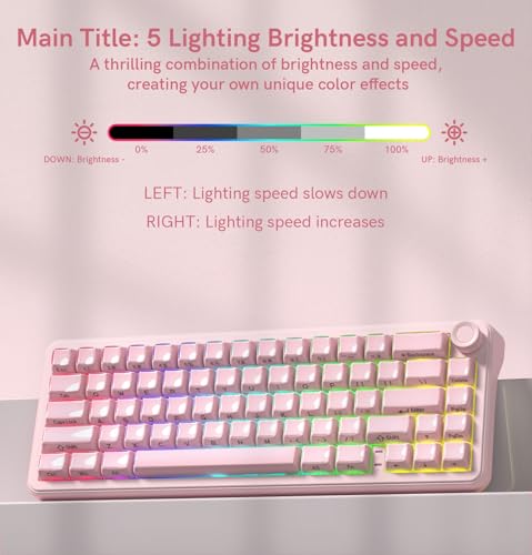 womier L65 60% Pink Mechanical Keyboard with Knob,4000mAh,Tri Mode USB-C/BT5.0/2.4G,RGB Backlit,Hot Swap,Crystal Jelly keycaps,Linear Switch,Gasket Mounted Wireless Gaming Keyboard for PC/Mac - color: Pink Jelly