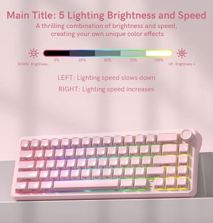 womier L65 60% Pink Mechanical Keyboard with Knob,4000mAh,Tri Mode USB-C/BT5.0/2.4G,RGB Backlit,Hot Swap,Crystal Jelly keycaps,Linear Switch,Gasket Mounted Wireless Gaming Keyboard for PC/Mac - color: Pink Jelly
