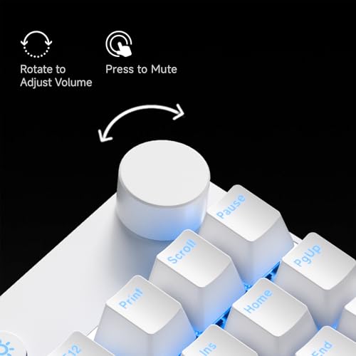 MCHOSE Mix 87 TKL Wired Gaming Keyboard Magnetic Switch Hall Effect Keyboards Rapid Trigger SOCD 8K Polling Rate Volume Knob Adjustable Actuation Point RGB Lighting HotSwap Black Apollo Switch - color: Black-Apollo TTC