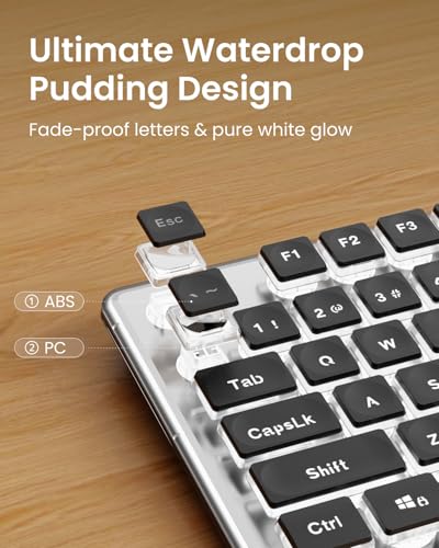SEUNKWANG Wired Backlit Keyboard with Pudding Keycaps, Quiet Full Size Computer Keyboard White Backlight Easy-to-Read, Never Fade, Metal Panel, USB Cute Desk Setup for Windows PC Desktop, Black - color: Black-white
