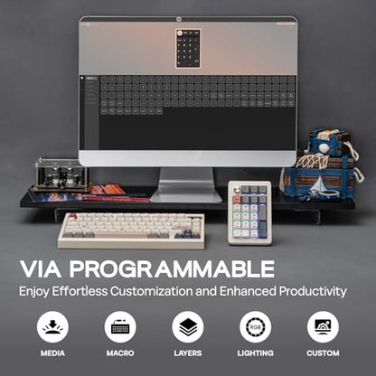 EPOMAKER EK21 VIA Gasket Number Pad w/ 1000mAh Battery, BT 5.0/2.4GHz/Wired | Hot-Swap Numpad with Aluminum Alloy knob, Programmable for Win/Mac/Gaming (Retro White, Wisteria V2 Switch) - color: Retro White, size: Wisteria V2 Switch