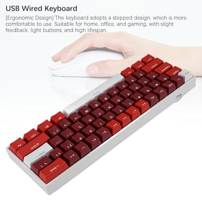 FILFEEL Ergonomic 61 Key Mechanical Keyboard Hot Swappable Blue Switch RGB Backlit Compact 60 Percent USB Wired Gaming Office Typing Portable Minimalist Desk Setup for Gamers Programmers
