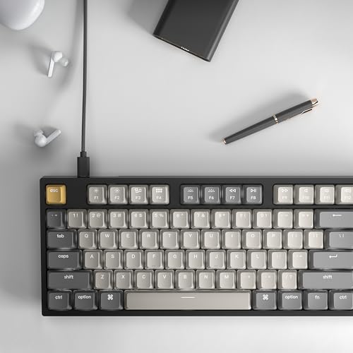 Keychron C1 Pro Wired Custom Mechanical Keyboard, TKL Layout QMK/VIA Programmable OEM Profile Double-Shot PBT Keycaps White LED Backlight with K Pro Red Switch for Mac Windows Linux - color: K Pro Red Switch