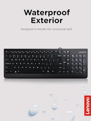 Lenovo 300 USB Keyboard, Wired, Adjustable Tilt, Ergonomic, Windows 7/8/10, GX30M39655, Black | Full-size office typing with wired USB connection and 1 year warranty - style: Keyboard