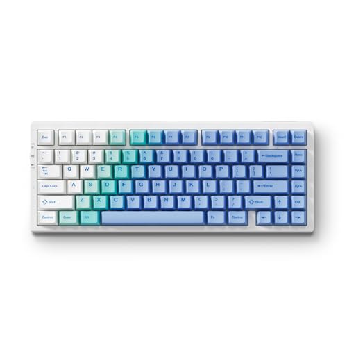 MCHOSE G75 PRO 75% Wireless Mechanical Keyboard, TKL Keyboards Tri-Mode BT5.0/2.4GHz/USB-C, Hot Swap Custom Creamy Keyboards Linear Switch, Double Shot PBT Keycaps RGB LED Backlit, White&Blue - color: Blue