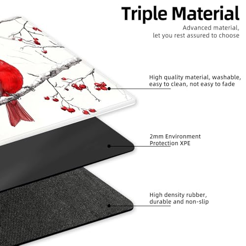 for MTG Playmat TCG Card Game Mat with Stitched Edges,Board Game Mats Non-Slip Waterproof Rubber Base 24 x 14 inch for CCG RPG DTCG Trading Card,Red Cardinal Winter Branch - color: Red Cardinal Winter Branch