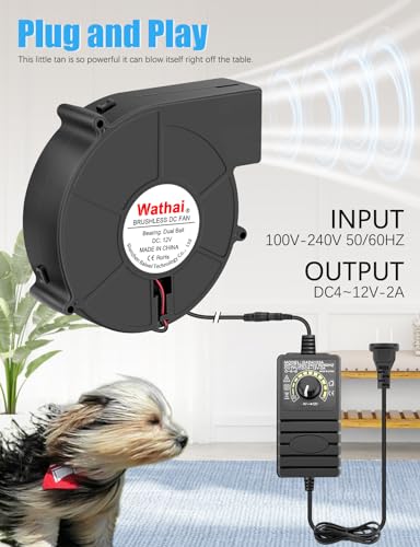 Wathai 140mm Small Blower Fan 110V 120V Squirrel Cage Fan Speed controlleer | Dual Ball Brushless Cooling Squirrel Cage Fan with AC Plug Speed Control 110V - 240V for DIY Inflatable or Exhaust Cooling - style: 140x40mm 110v - 220v with speed controller