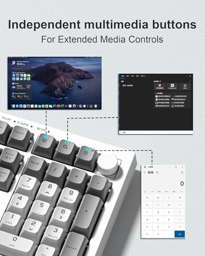 Womier K105 Membrane Gaming Keyboard,RGB Quiet Keyboard for Office, USB Wired,26 Keys Anti-ghosting Computer Keyboard 104 Keys - Gray
