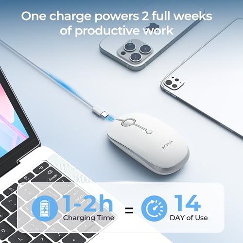 seenda MOU001 Bluetooth Wireless Mouse for Laptop,Slim Computer Mice,Silver | Rechargeable Computer mouse with USB and dual Bluetooth, 3-level DPI and quiet clicks for Windows, Macbook, iPad and Travel. - color: Silver