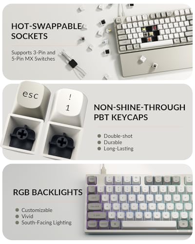Keychron C2 Pro Wired Mechanical Keyboard with 8K Hz Polling Rate, Full Size Custom RGB Backlit Hot-Swappable, Non-Shine Through PBT Keycaps Compatible with Mac Windows Linux (Silent Banana Switch) - color: Silent Banana Switch