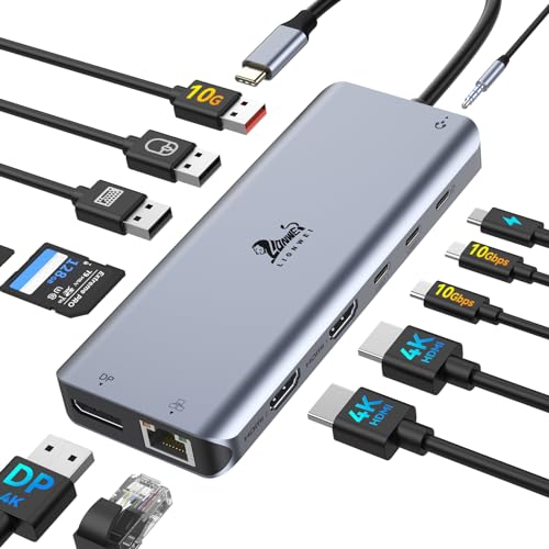 LIONWEI Docking Station Dual Monitor 4K, 13-in-1 USB C Dock for Laptop Mac | Dual HDMI+DP, 4K, 10Gbps, 100W PD, Ethernet, Audio, SD/TF, 6 USB C/A Ports, USB C Hub for MacBook/Dell/HP/Lenovo - color: 13 IN 1(2 HDMI+DisplayPort)