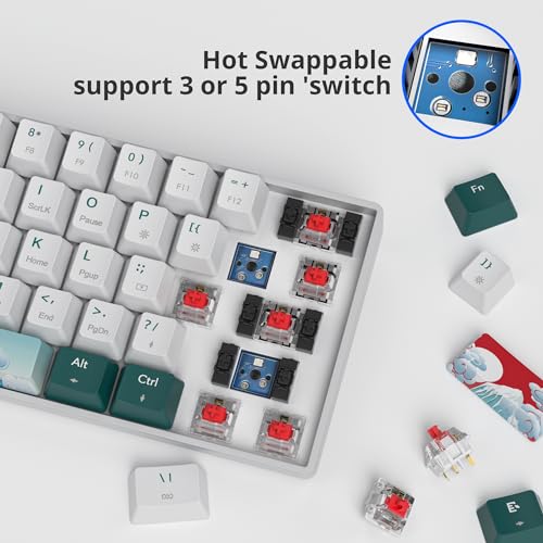 surmen Wireless Keyboard 60% Gaming Keyboard 60 Percent, Hot Swappable RGB Mini Bluetooth BT5.0/USB-C Mechanical Keyboard with Software for Windows Mac Laptop (Gateron Red, Green 61) - color: Green 61-Red Switch