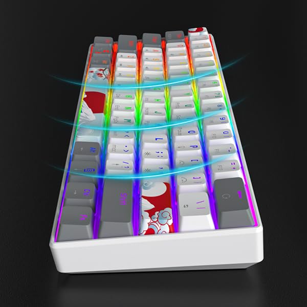 60% Mechanical Keyboard Wired Linear Red Switch RGB Backlight | 60 Percent 61-keys Compact Layout Gaming Keyboard TKL Ultra-Compact Mini RGB Backlit - color: 61 White/Red Switch
