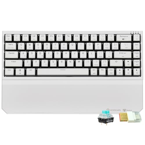 Hexgears X1 Pro Wireless Mechanica Keyboard, Tri-Mode Bluetooth/2.4G/USB-C, Hot-Swappable Clicky Switch Gaming Keyboard, Mini Compact White Backlit Keyboards with Wrist Rest - White - color: Panda-X1 Pro, size: Clicky