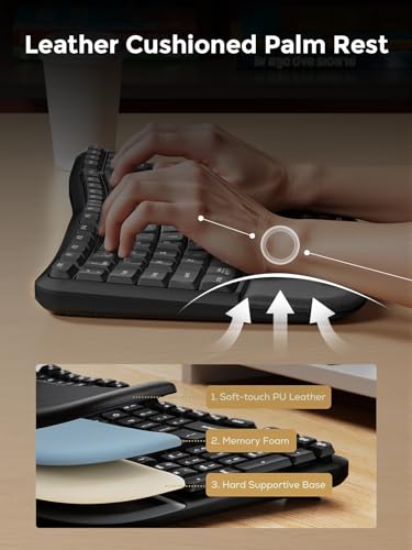 DAREU Wireless Ergonomic Keyboard,Ergo Keyboard with Cushioned Wrist & Palm Rest,2.4GHz / BT Ergonomic Wave Keys Computer Keyboard,3 Multi-Device Connectivity for Laptop,Mac,Windows - Black