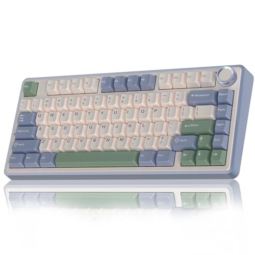 AULA F75 75% Wireless Mechanical Keyboard, Hot Swappable Creamy Keyboard, Pre-lubed Reaper Switches RGB Backlit Gaming Keyboards, 2.4GHz/Type-C/BT5.0(White & Green) - color: Emerald