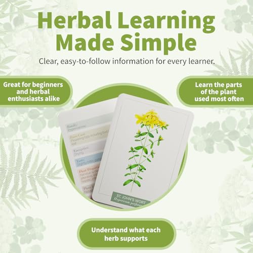 Herb Notes Plant Identification Cards, 48 Illustrated Botanical Flash Cards | Herb Cards for Plant Identification, Nature Study & Classroom Learning, Compatible with Learning Herbs Wildcraft! Board Game - style: Herb Notes