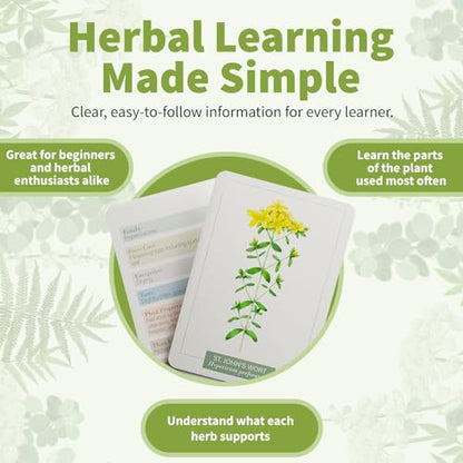 Herb Notes Plant Identification Cards, 48 Illustrated Botanical Flash Cards | Herb Cards for Plant Identification, Nature Study & Classroom Learning, Compatible with Learning Herbs Wildcraft! Board Game - style: Herb Notes