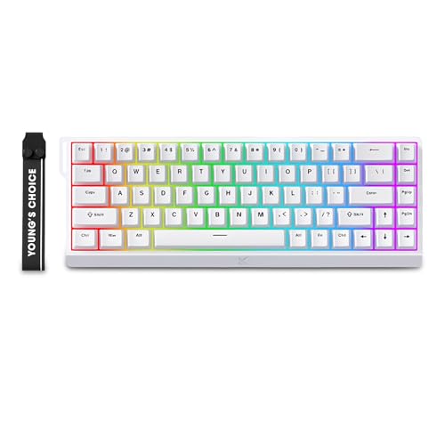FKZ x MCHOSE ACE 68 Magnetic Switch Gaming Keyboard,Hall Effect Rapid Trigger Keyboard 60% Hyper-Fast Adjustable Actuation,RGB Backlit 8K Hz Polling Rate for Mac/PC Game (White) - color: White-Blue Ice Magnetic Switch