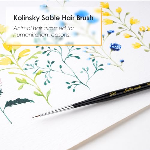 Kolinsky Sable Miniature Paint Brushes - Professional Artist Brush Size 000, Small Fine Detail Paint Brush Set for Mini Paints, Paint by Number, Figurine - size: 000