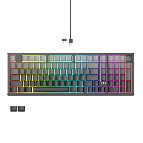 LUMI101 Wireless Mechanical Keyboard,Full-size keyboard with numeric keypad，Tri-Mode BT5.0/2.4GHz/USB-C Hot Swappable Custom Keyboard,RGB Backlit Computer Gaming Keyboards for PC/Tablet/PS/Xbox(Black) - color: Black