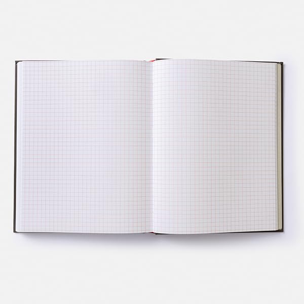 The Player's Campaign Journal (Dungeons & Dragons)