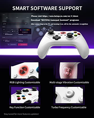 BEITONG Asura 2 Pro Game Wireless Controller - Hall Effect Trigger, ALPS Joystick, Gaming Gamepad for PC/Steam/Android TV/Tesla, Programmable M Buttons (White)