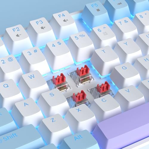 MageGee 75% Mechanical Gaming Keyboard, Red Switch, LED Blue Backlit, 87 Keys Compact TKL Wired Keyboards for Windows Laptop PC Gamer - White/Blue - color: White Blue/Red Switch