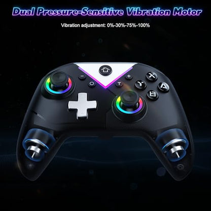 Dinosoo RGB Wireless Controller with Turbo & Macro, 6-Axis Gyro, Dual Vibration, Screenshot Button – Compatible with Nintendo Switch 2 / Switch 1 / Lite/OLED, PC - 2-Pack - color: Black