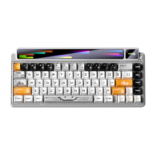 LEOBOG x Aula AMG65 Mechanical Gaming Wireless Keyboard Dual Screen | Tri-mode Bluetooth/2.4G/Wired,Wireless Keyboard,8000mAh,RGB,Hot Swappable Pre-lubed Light Feather Switches-Arctic starlight - color: Arctic starlight