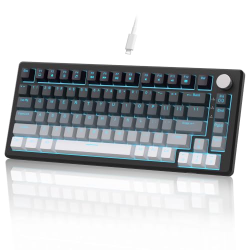 MageGee 75% Mechanical Gaming Keyboard, Compact Blue Backlit Wired Gaming Keyboards with Linear Red Switches, Knob Control, STAR75 Portable NKRO PC Gaming Keyboard - Gradient Gray - color: Gradient Gray - Red Switch