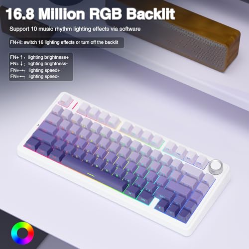 AULA F75 Pro Wireless Mechanical Keyboard,75% Hot Swappable Custom Keyboard,RGB Backlit,Pre-lubed Linear Switches,Side Printed PBT Keycaps Mechanical Gaming Keyboards,Gradient Purple - color: F75 Pro-Gradient Purple