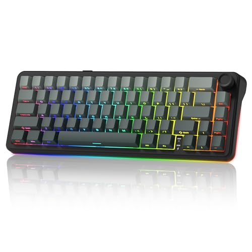 womier L65 60% Mechanical Keyboard Wireless with Knob, Black Gaming Keyboard 4000mAh Battery, Tri Mode USB-C/BT5.0/2.4G Gasket Mounted Key Board RGB Hot Swappable with Gradient keycaps-Linear Switch - color: Black