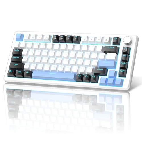 MageGee 75% Mechanical Gaming Keyboard, Compact Blue Backlit Wired Gaming Keyboards with Brown Switches, EVA Foam, Knob Control, STAR75 Portable NKRO PC Gaming Keyboard - White & Blue - color: White & Blue - Brown Switch