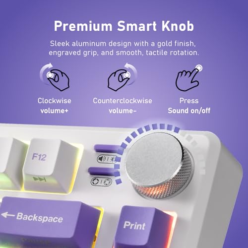 iRocks K103R Wireless Rechargeable RGB 75% Mechanical Gaming Keyboard, Hot Swappable Pre-lubed Switches, 81 PBT Keys, Gasket Mount, USB-C Detachable Cable (Lavender Purple, Bubble Switch) - color: Lavender Purple, size: Bubble Switch